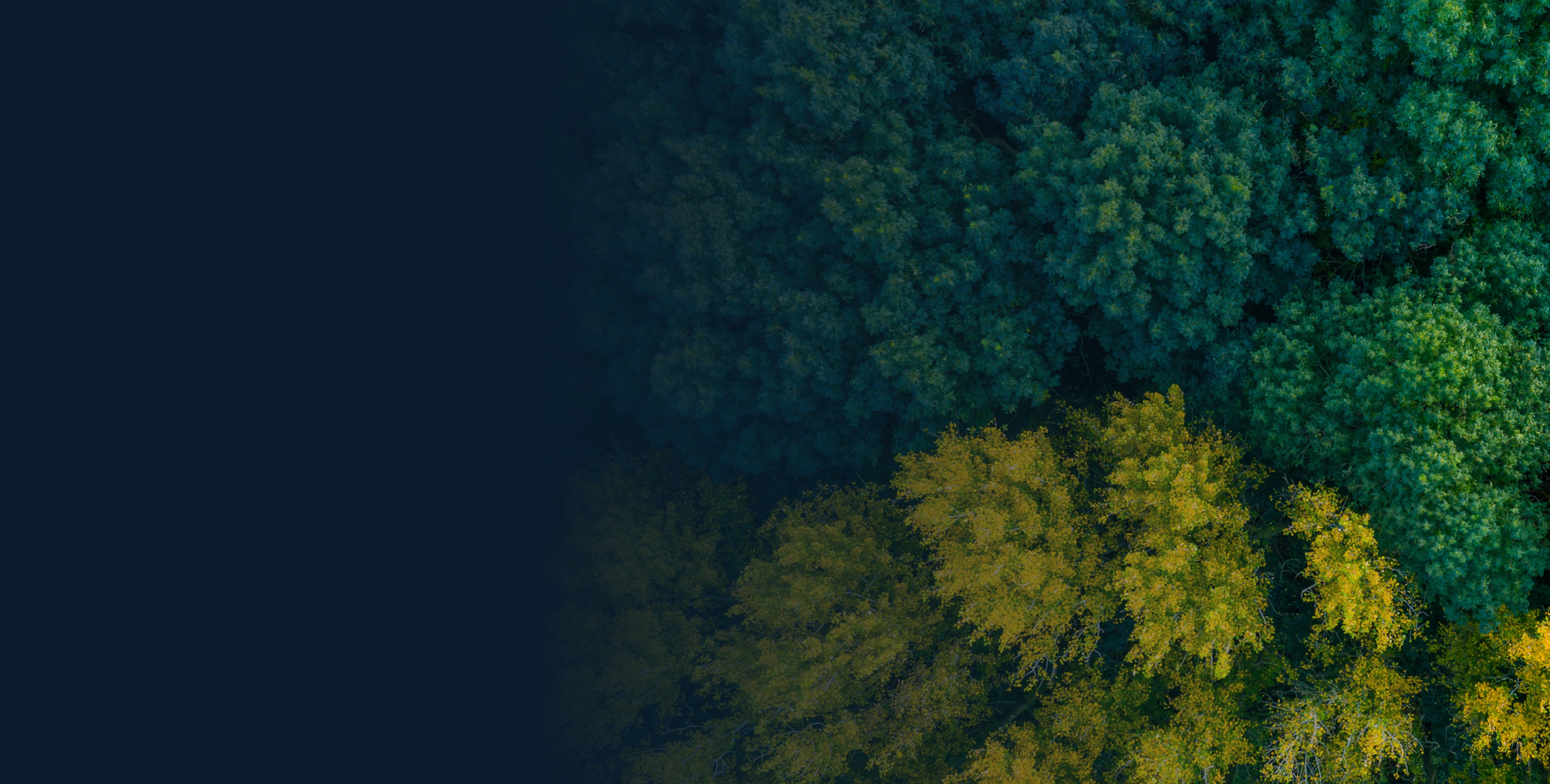 <span>Case Studies</span>