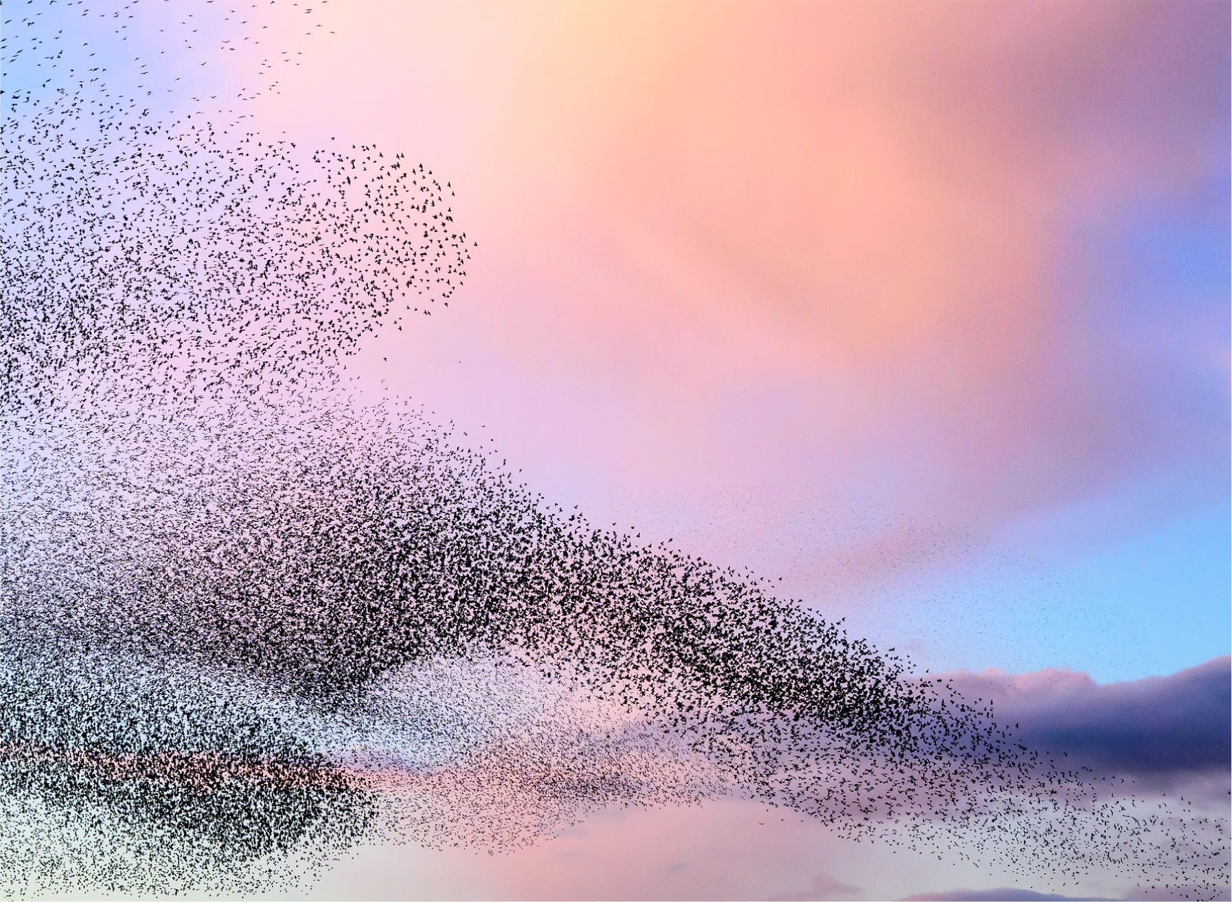 Executive Hiring Trends for 2026: What’s Next?