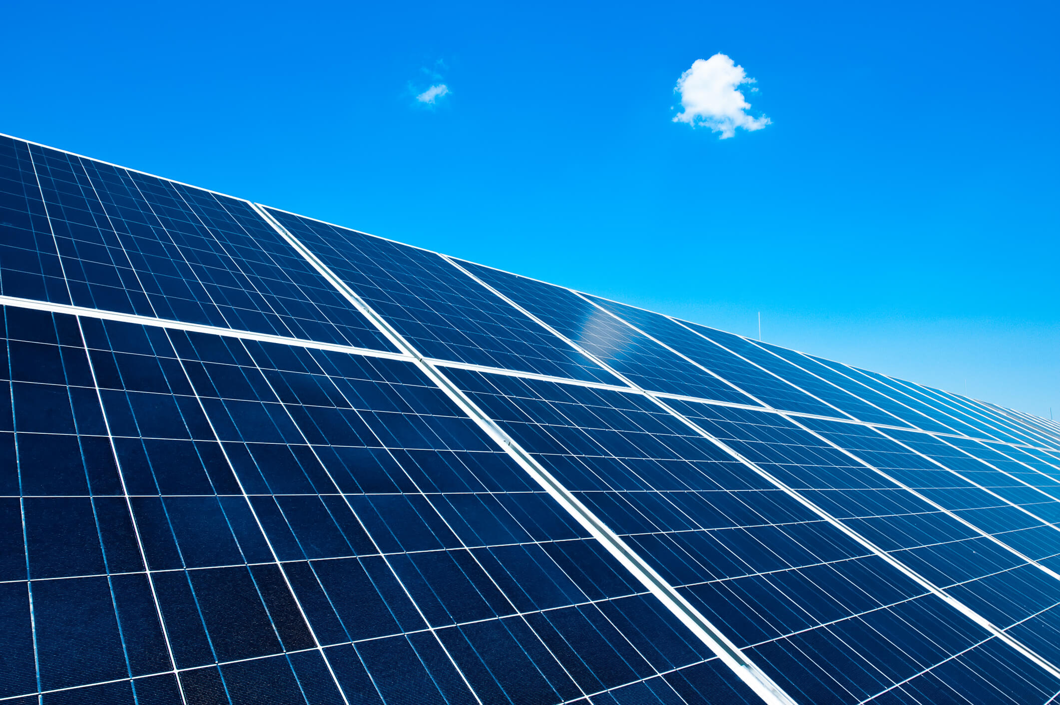 energy exec search