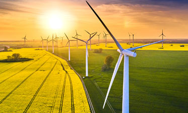 Renewable Energy Executive Search and Headhunting | Novo