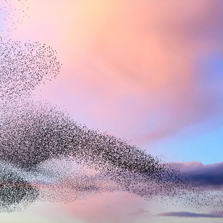New Strada report finds nearly 40% of Businesses Are Still Dependent on Ageing HR Systems as Cloud Migration Becomes Critical