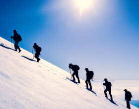 Interim Executive Management: From Gap-Filler to Strategic Stabiliser