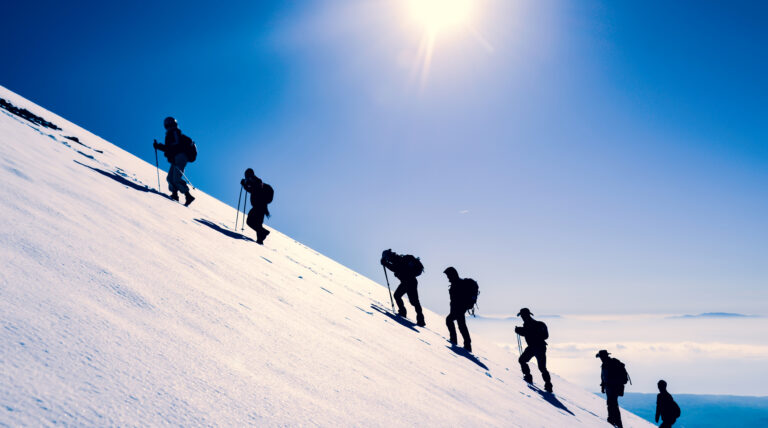 Interim Executive Management: From Gap-Filler to Strategic Stabiliser