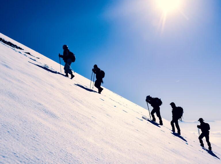 Interim Executive Management: From Gap-Filler to Strategic Stabiliser