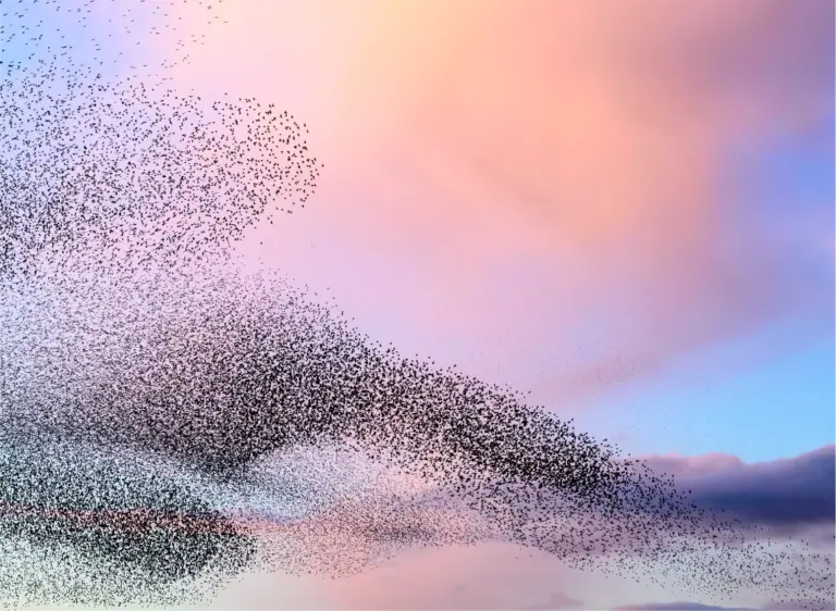 Executive Hiring Trends for 2026: What’s Next?