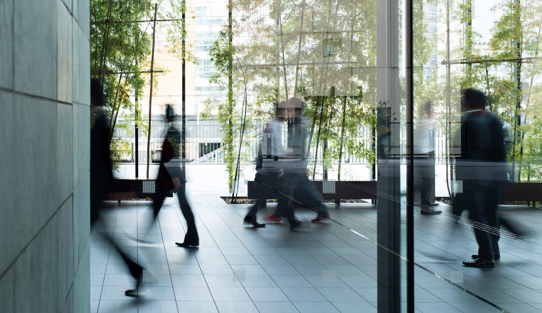 novo office locations