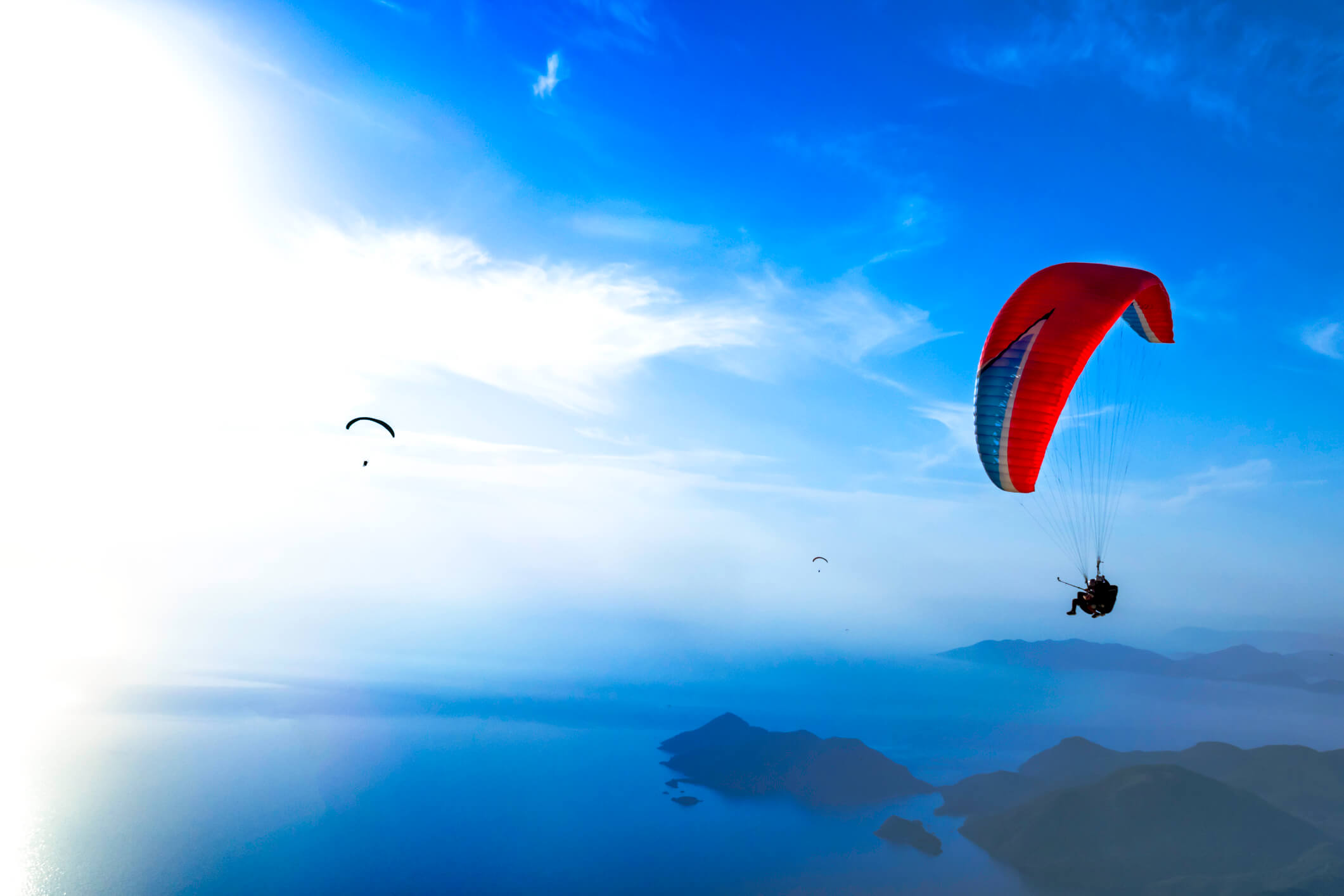 executive search sector experience