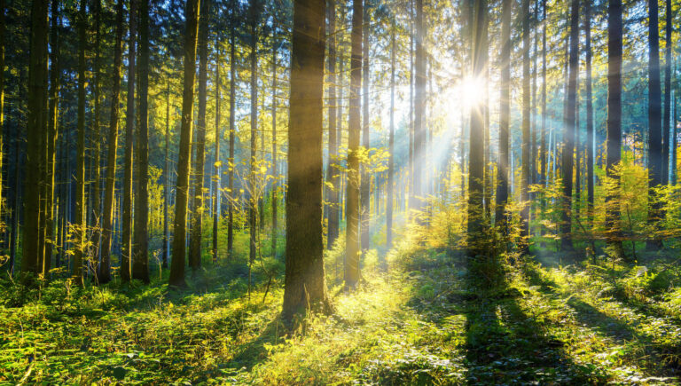 Novo Executive Search unveils new website celebrating its third decade of Board-Level Appointments