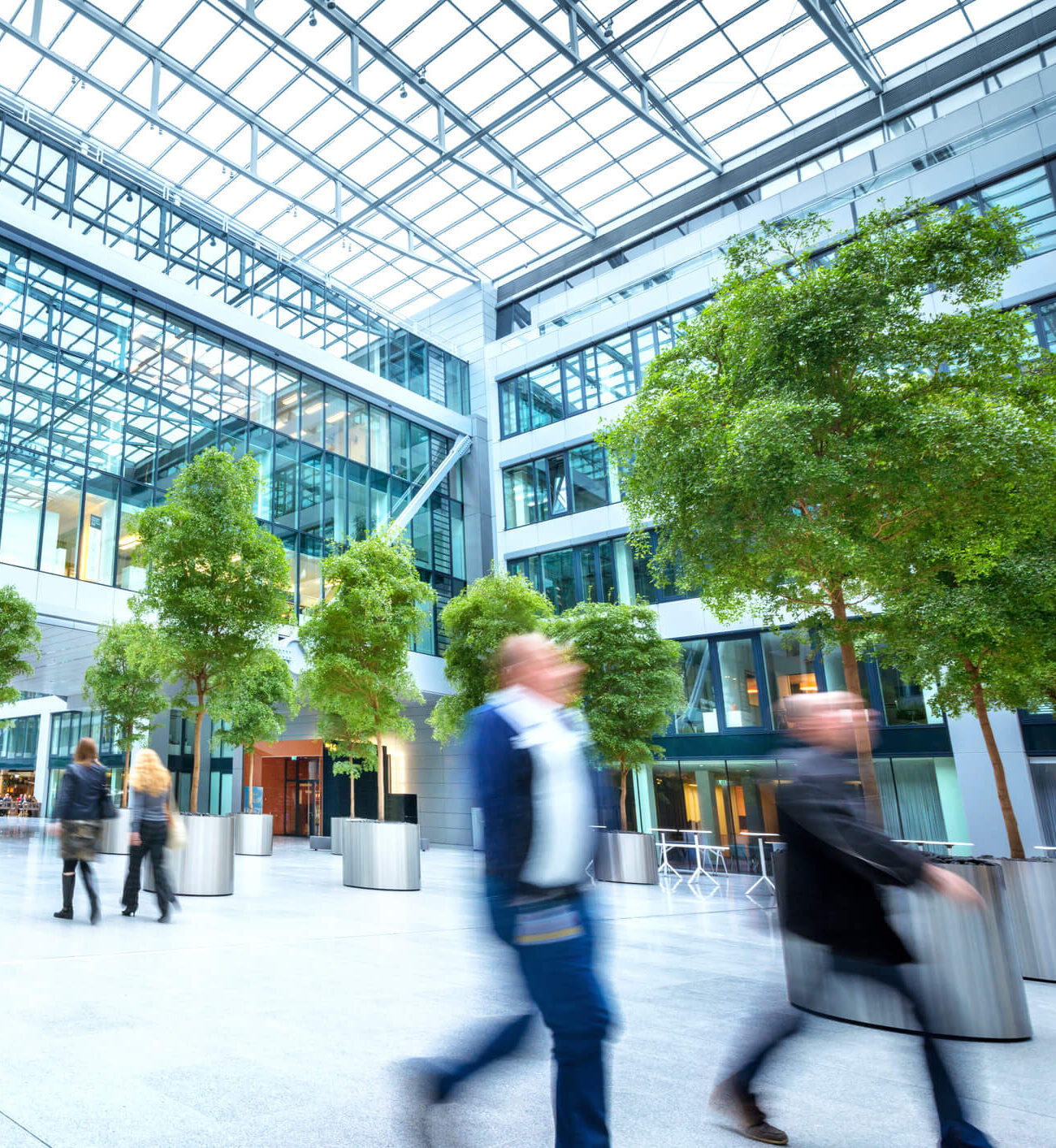 sector experience mobile