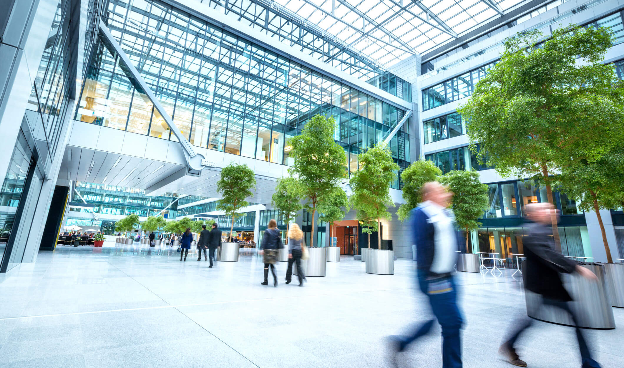 sector experience novo