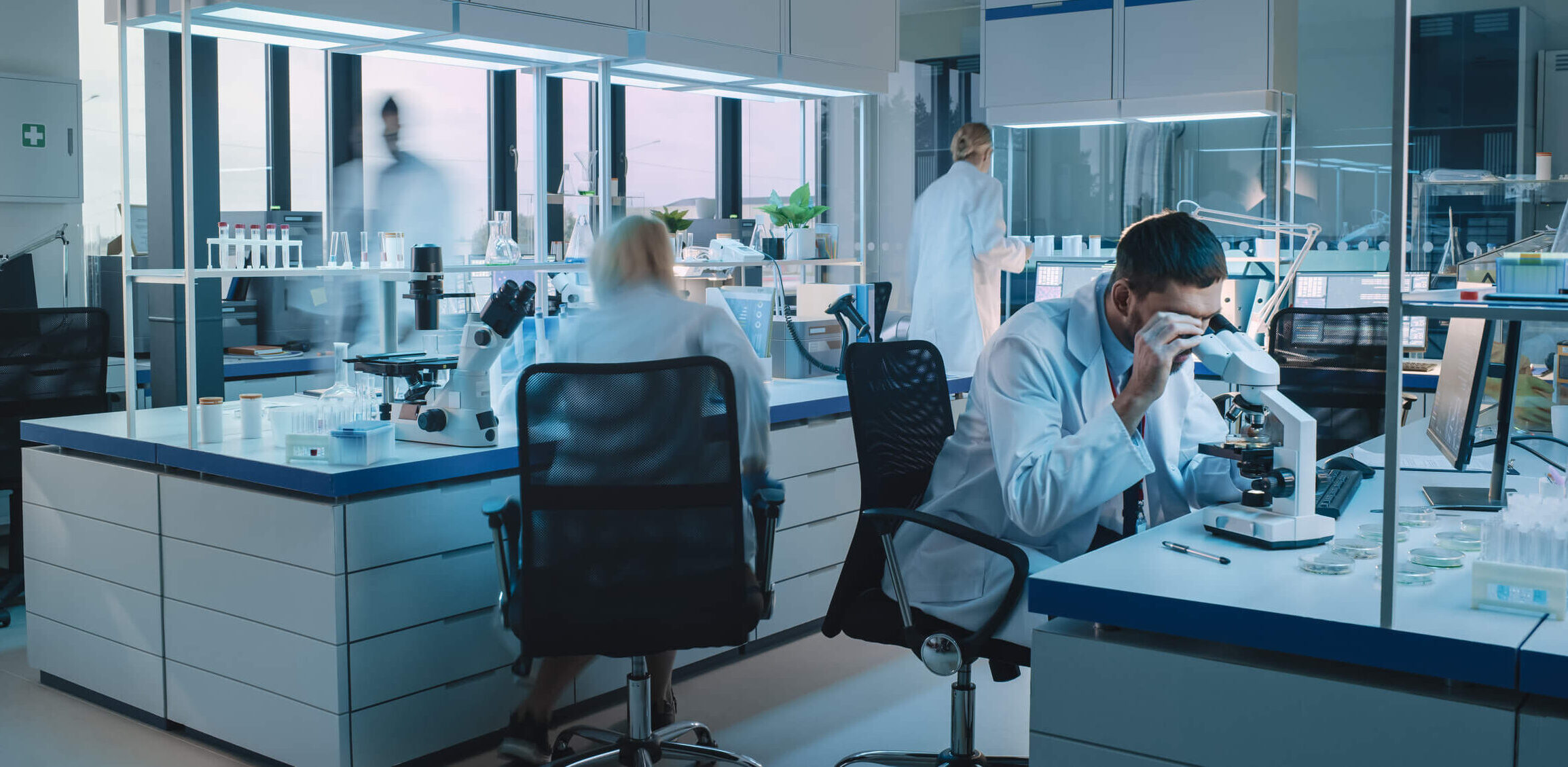 interim cfo biotech company lifesciences