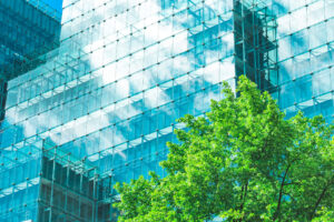 Leadership Demand in the Green Economy and Sustainability Sector