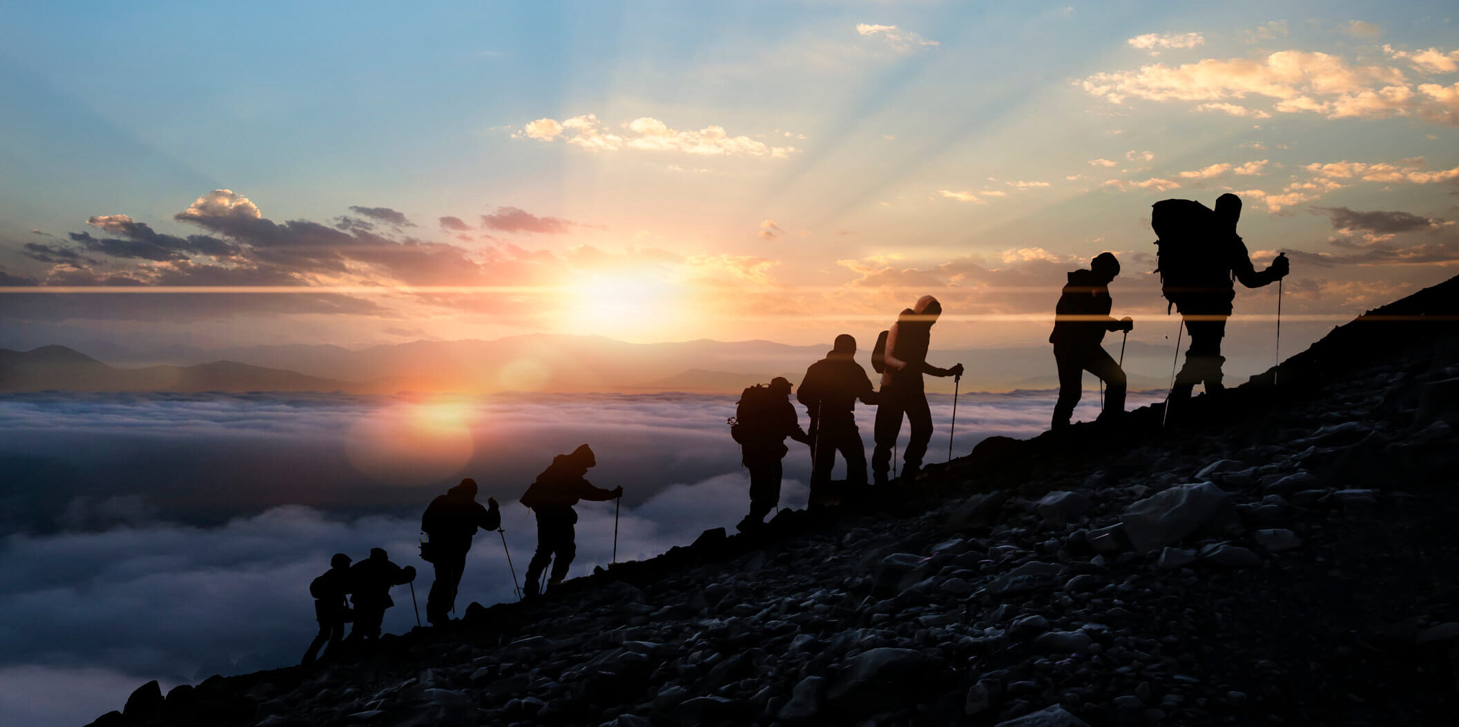 succession planning novo
