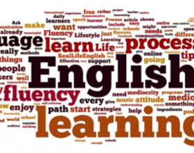 Public-sector English fluency requirements come into force